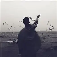 6686体育平台合作伙伴Gavin