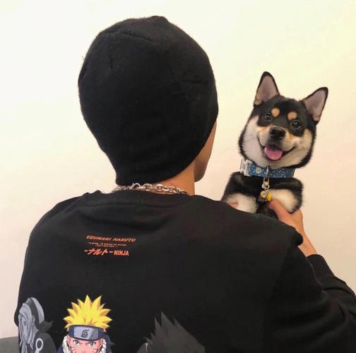 6686体育平台金牌作者Xander