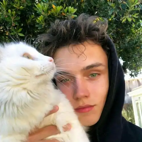 6686体育平台首席作者Calvin