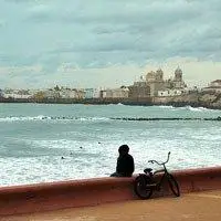 6686体育平台中级作者暖意序言