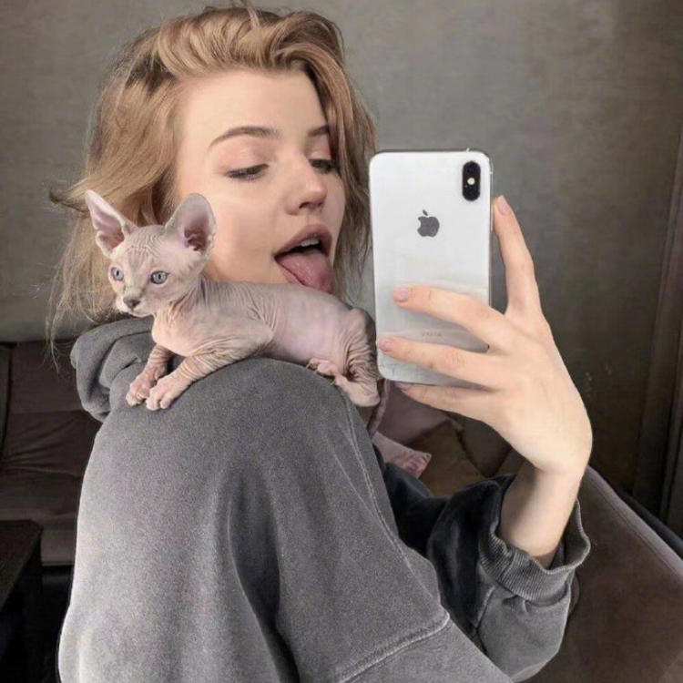 6686体育平台铁牌作者Paul