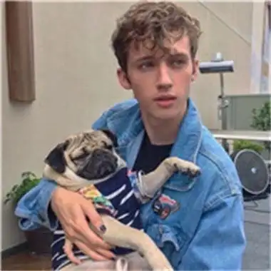 6686体育平台银牌作者Beryl