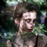 6686体育平台首席作者Elsa