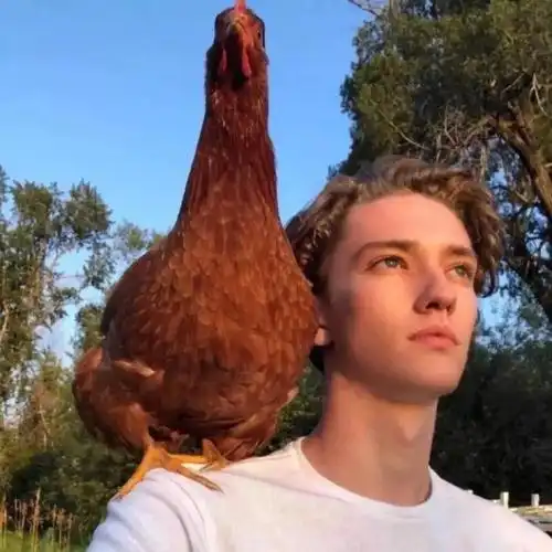 6686体育平台高级作者Rafael