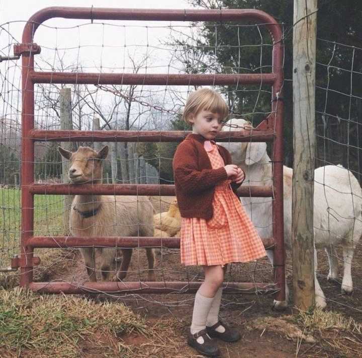 6686体育平台签约作者鬼域幽火